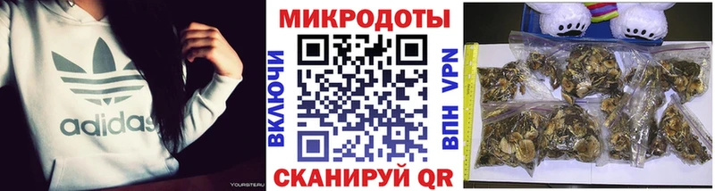hydra как зайти  нарко площадка Telegram  Галлюциногенные грибы Cubensis  Гусев 
