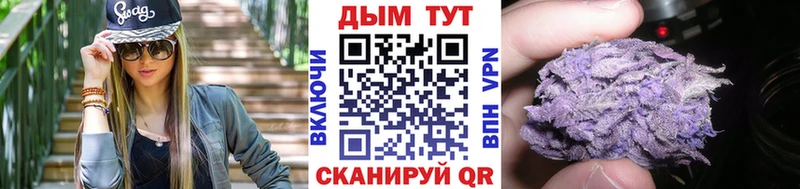 MEGA ONION  дарк нет телеграм  Каннабис Amnesia  как найти закладки  Гусев 